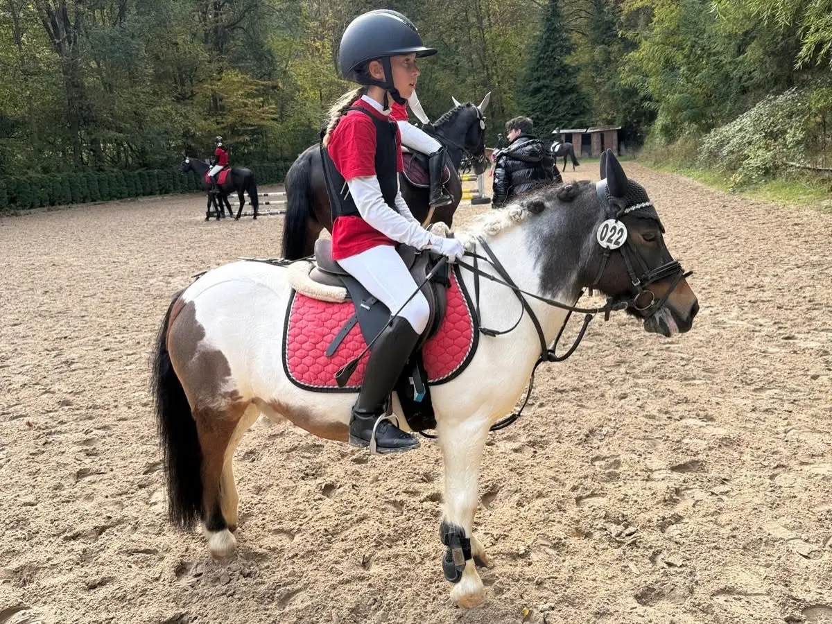 Foto 4 von 6: Jugendcup in Obernburg
