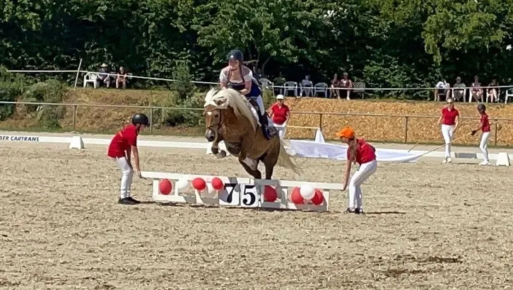 Foto 3 von 5: 75-jähriges Jubiläum des hessischen Zuchtverbandes