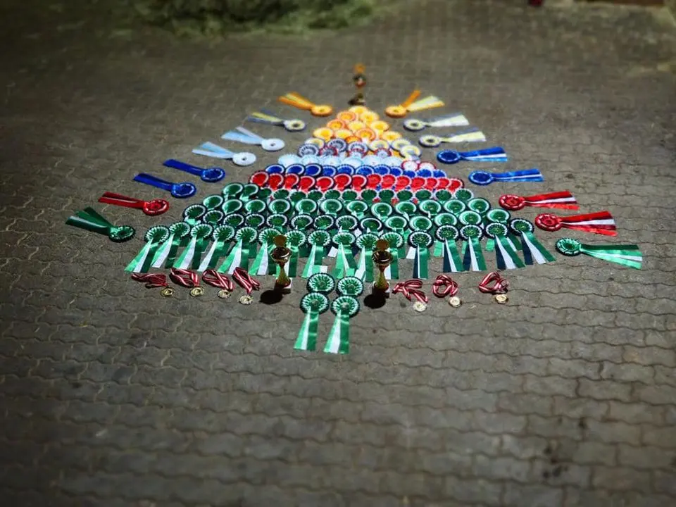Foto 1 von 1: Das war der Jugendcup 2023!