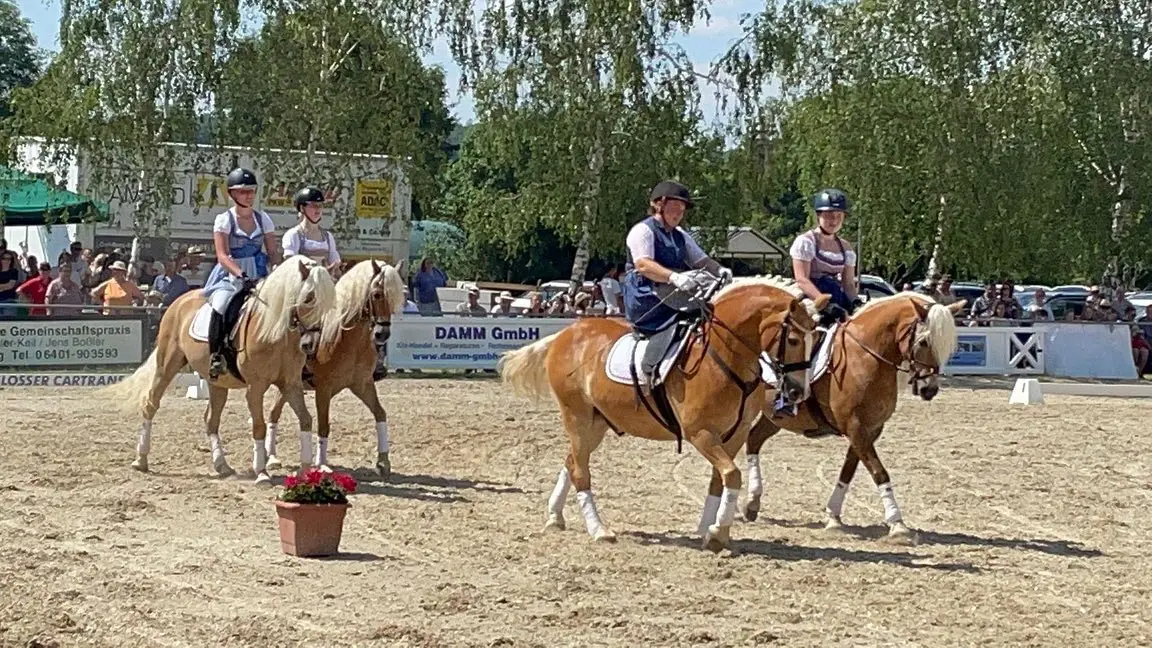 75-jähriges Jubiläum des hessischen Zuchtverbandes