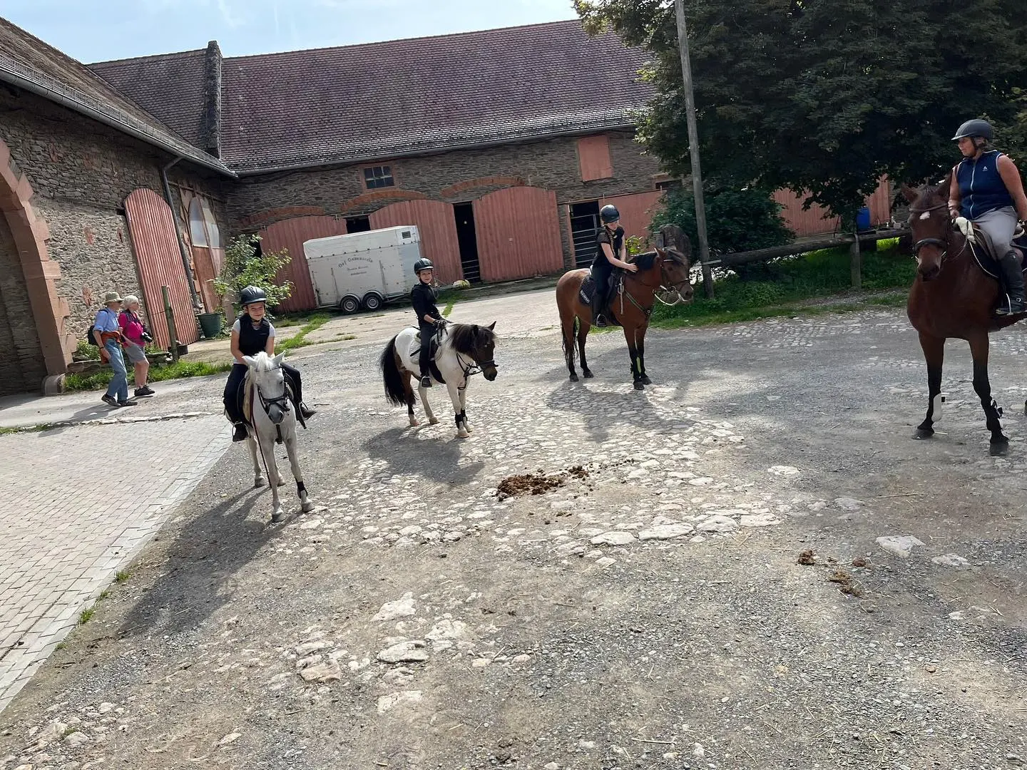 Foto 5 von 5: Geländelehrgang für Einsteiger