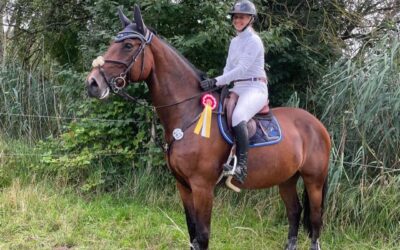 Punktespringprüfung