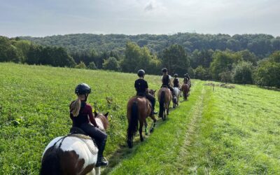 Geländelehrgang für Einsteiger