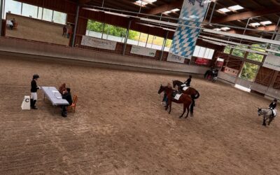 Reitabzeichen erfolgreich bestanden!