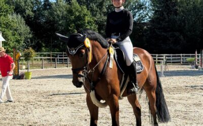 Turnierergebnisse der letzten beiden Wochenenden