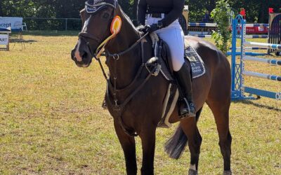 Erfolgreiches Reitturnier in Eichenbuehl